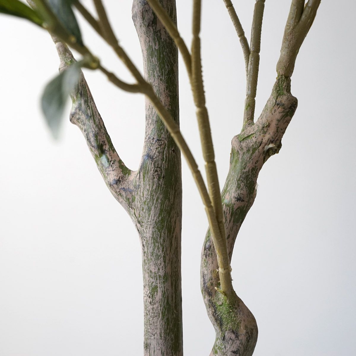 【特別価格】オリーブ フェイクグリーン