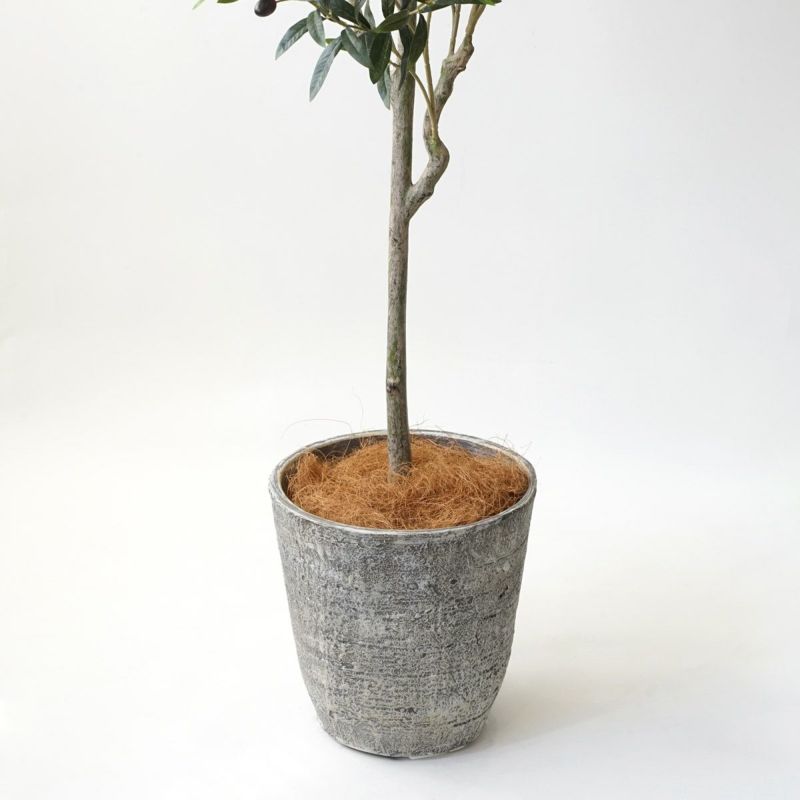 【特別価格】オリーブ フェイクグリーン