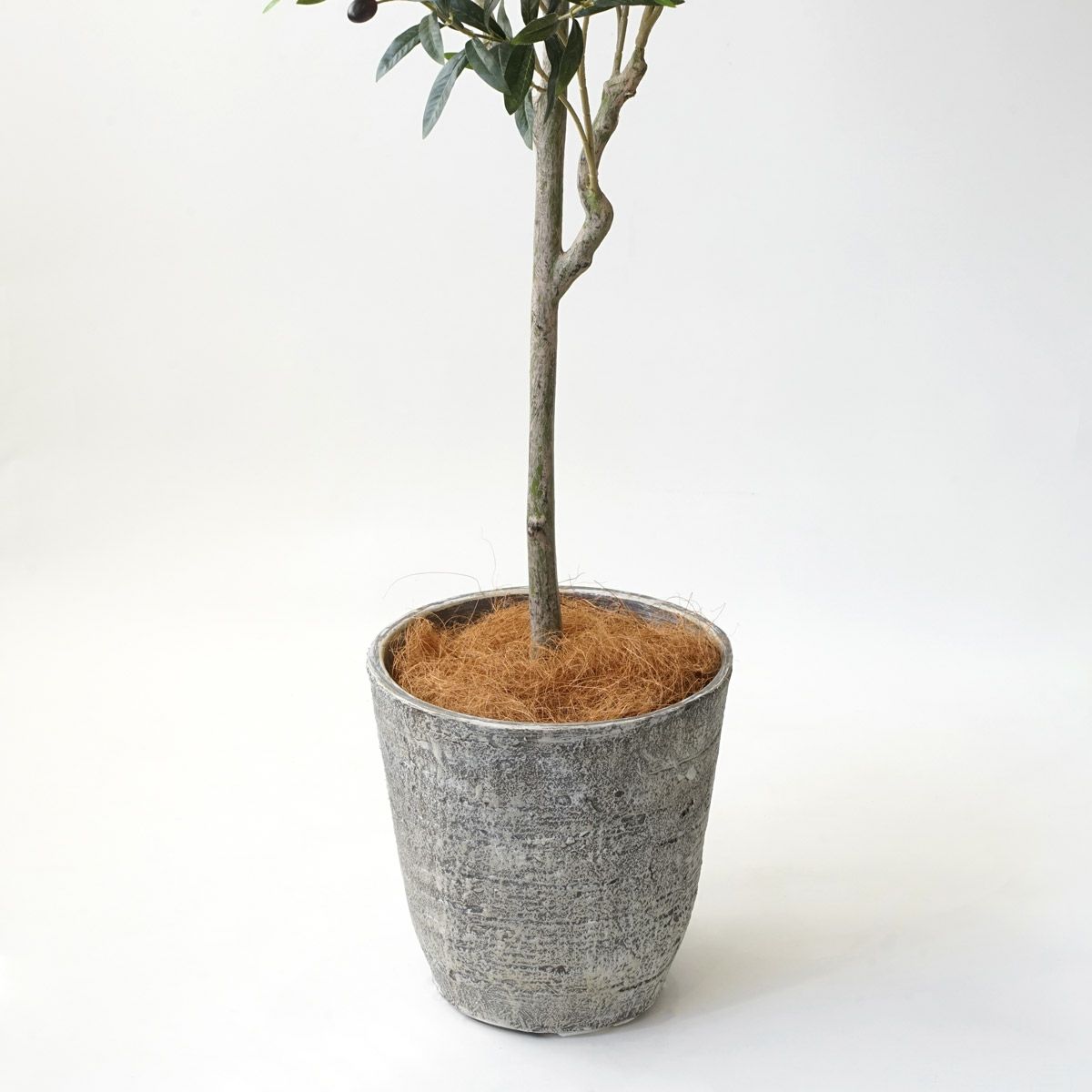 【特別価格】オリーブ フェイクグリーン