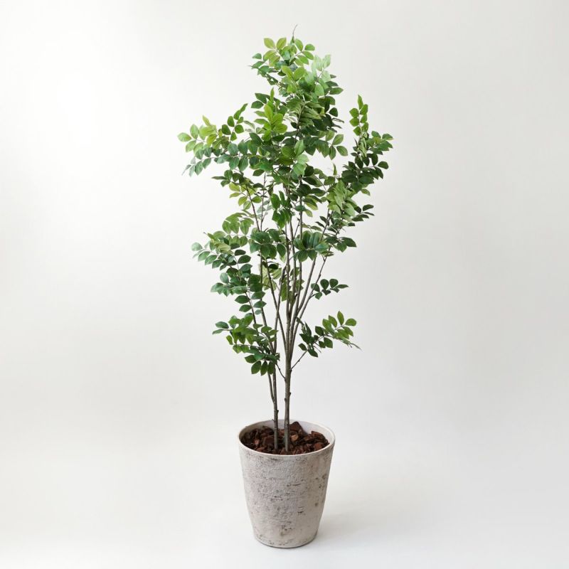 【特別価格】トネリコ フェイクグリーン [82]