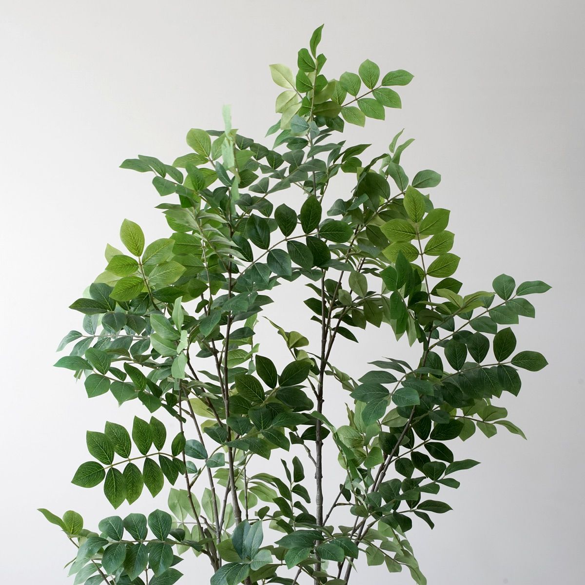 【特別価格】トネリコ フェイクグリーン [82]