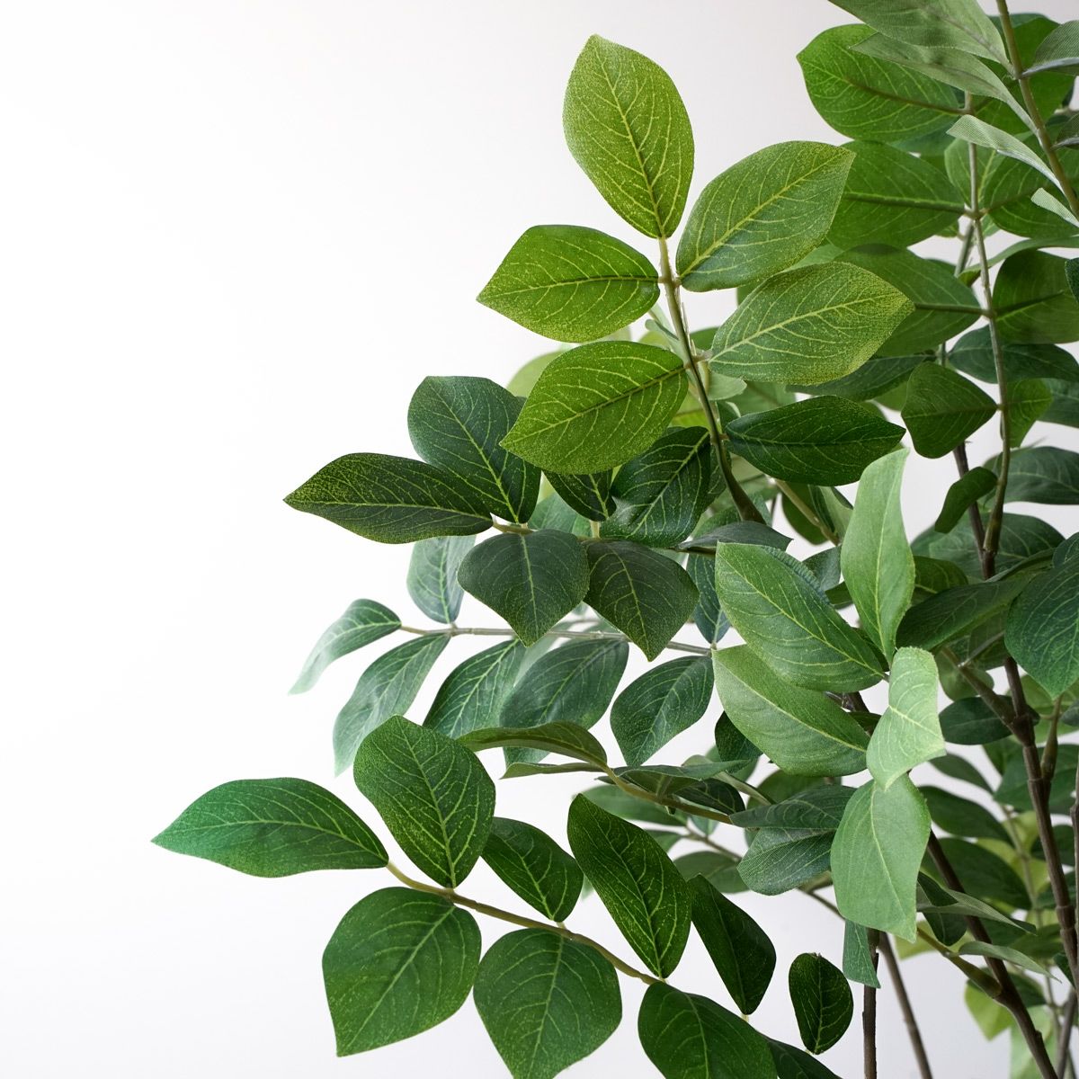 【特別価格】トネリコ フェイクグリーン [82]