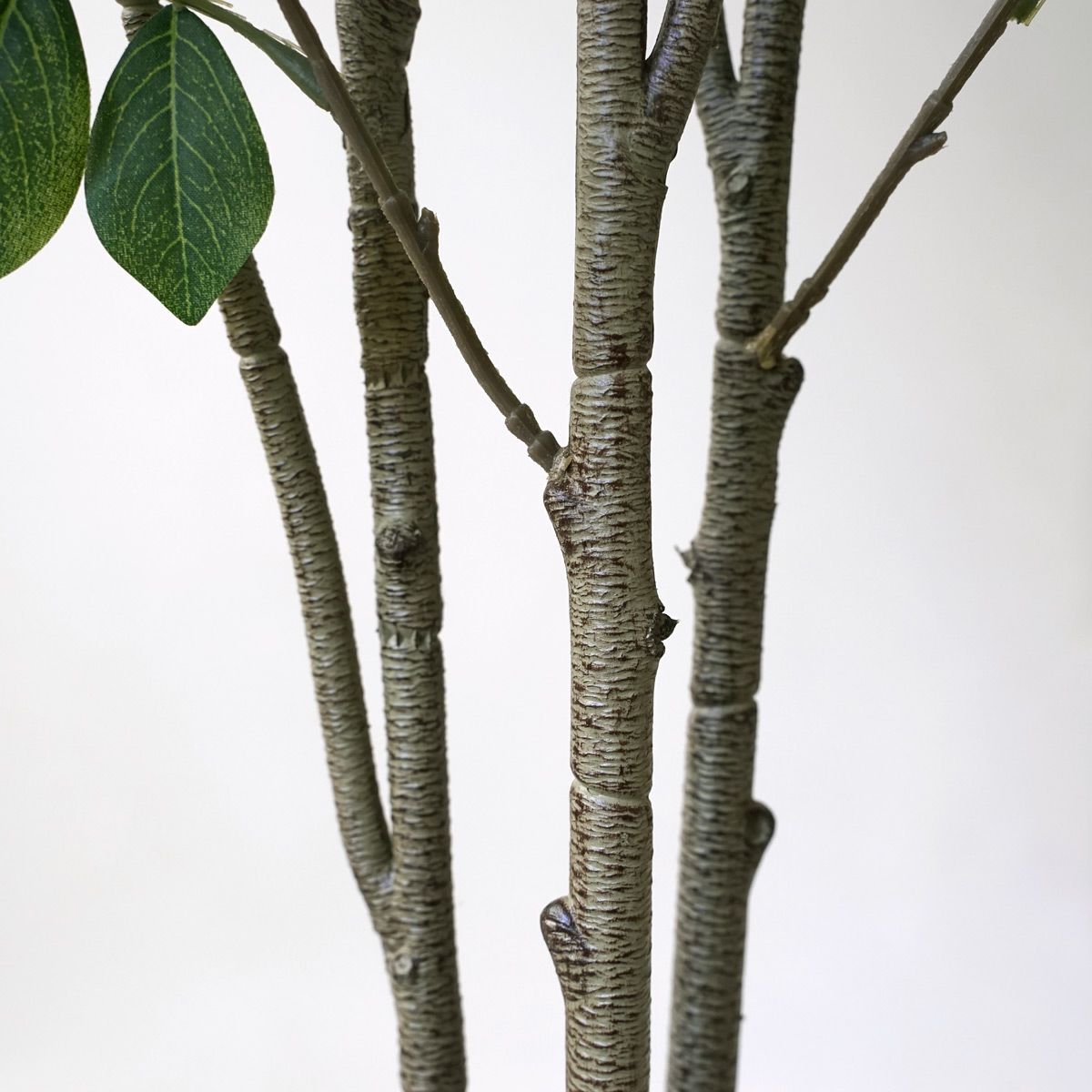 【特別価格】トネリコ フェイクグリーン [82]