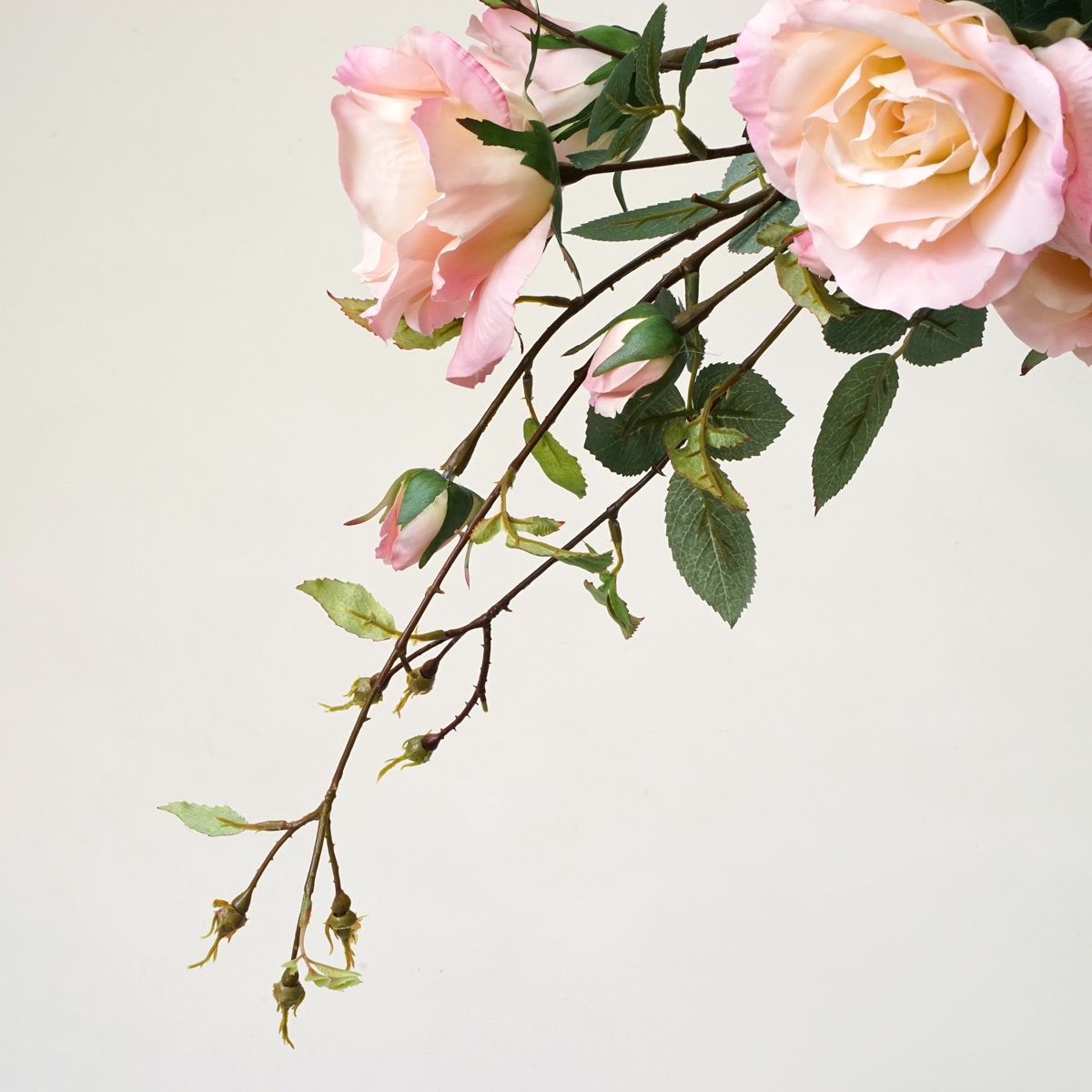 【特別価格】ローズ アレンジメント [P-25PK/WH02]