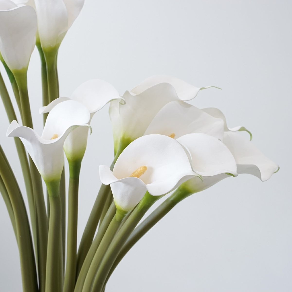 【特別価格】カラーリリー アレンジメント [P-12]