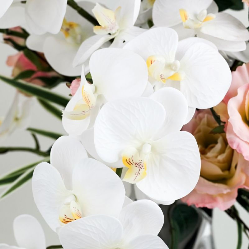 【特別価格】胡蝶蘭 ローズ アレンジメント [WEB491] 