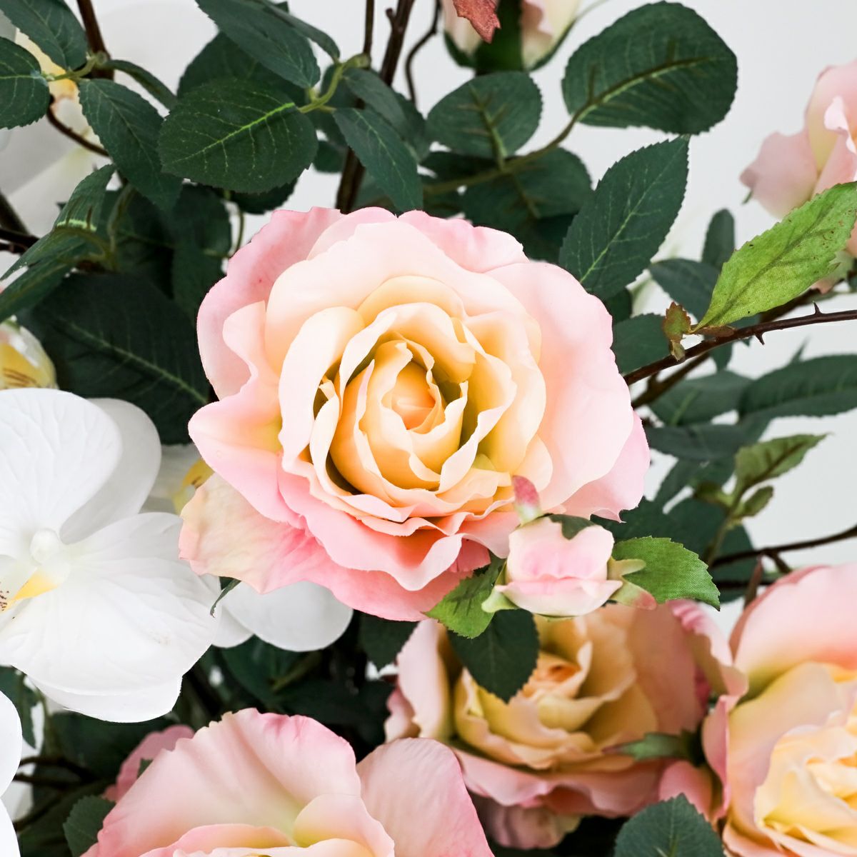 【特別価格】胡蝶蘭 ローズ アレンジメント [WEB491] 