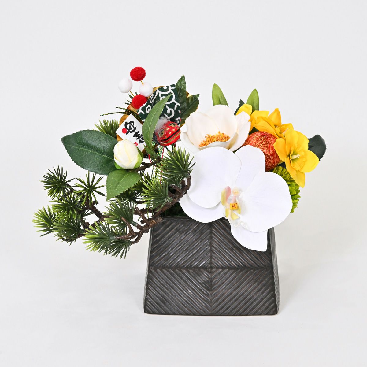 胡蝶蘭 アレンジメント [NY-276]