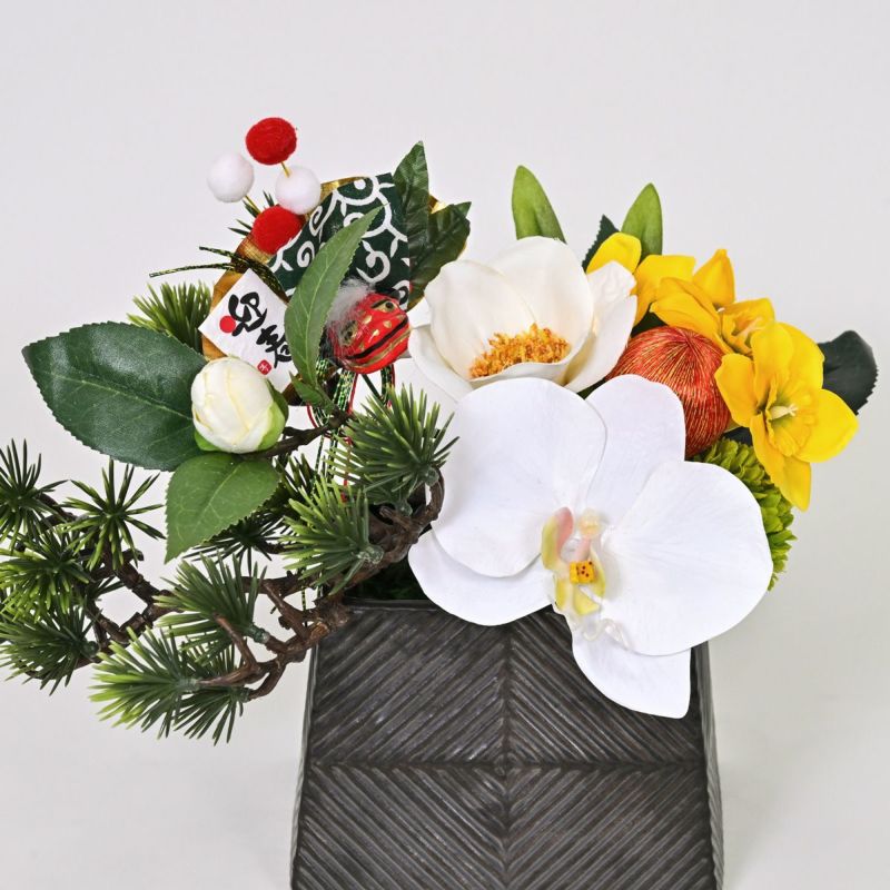 胡蝶蘭 アレンジメント [NY-276]