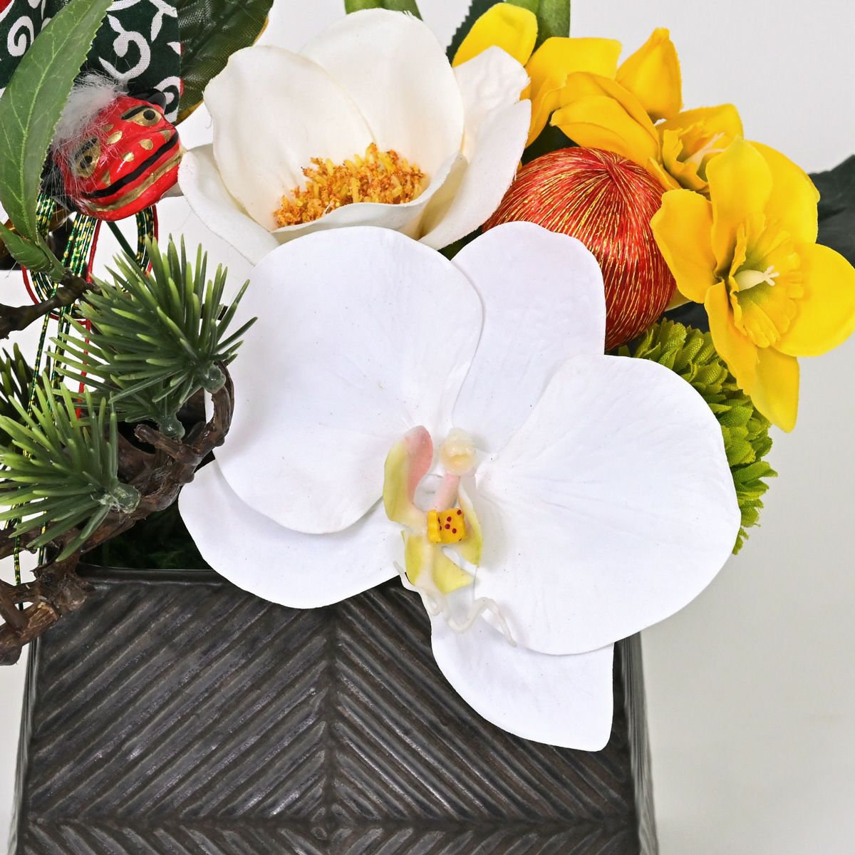 胡蝶蘭 アレンジメント [NY-276]