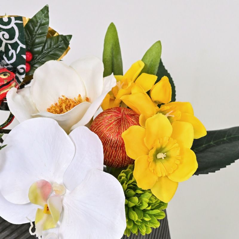 胡蝶蘭 アレンジメント [NY-276]