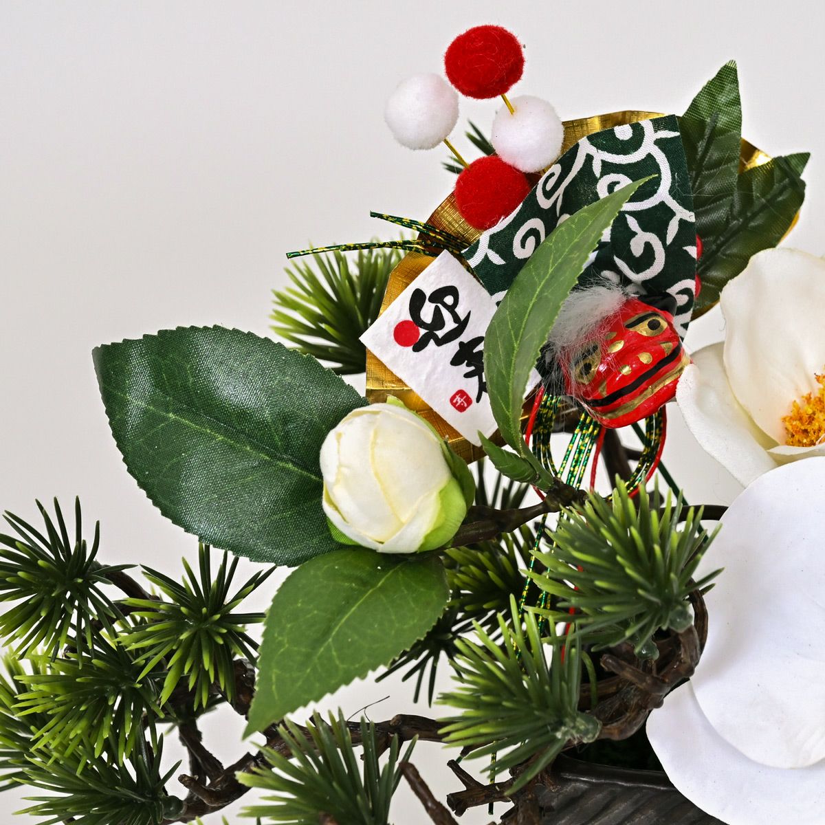 胡蝶蘭 アレンジメント [NY-276]