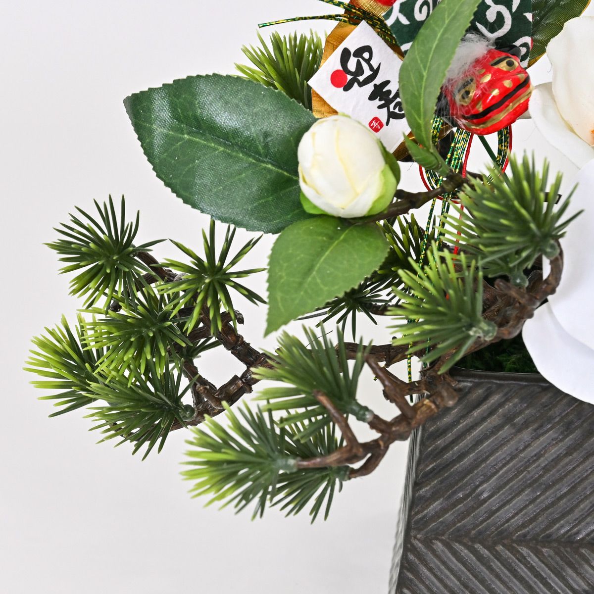 胡蝶蘭 アレンジメント [NY-276]