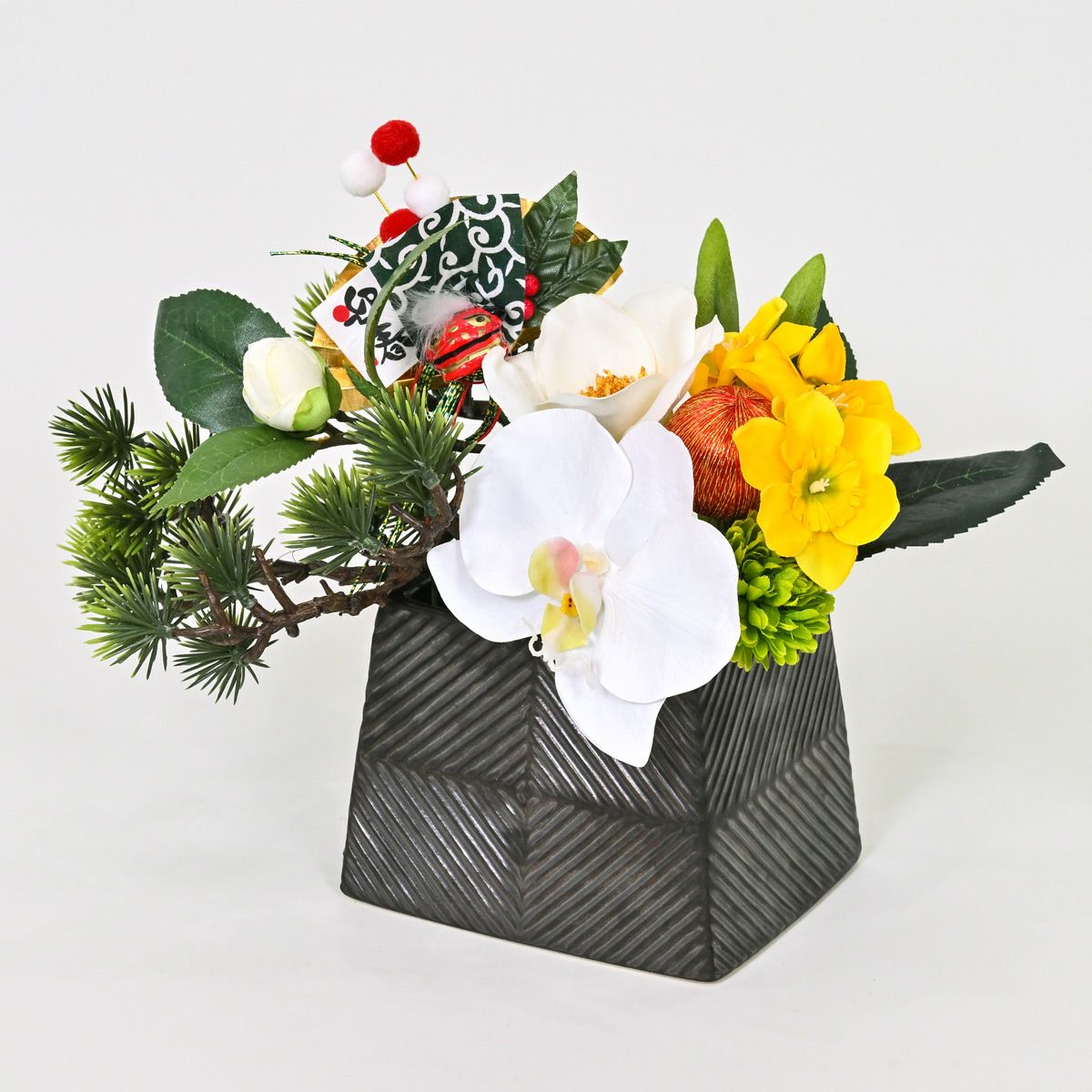 胡蝶蘭 アレンジメント [NY-276]