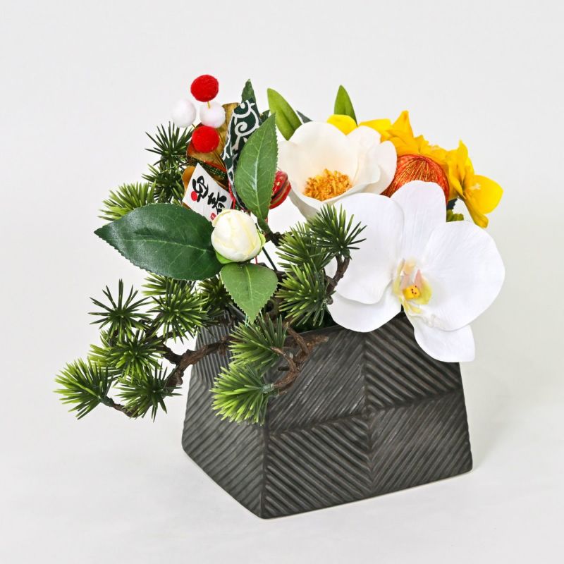 胡蝶蘭 アレンジメント [NY-276]