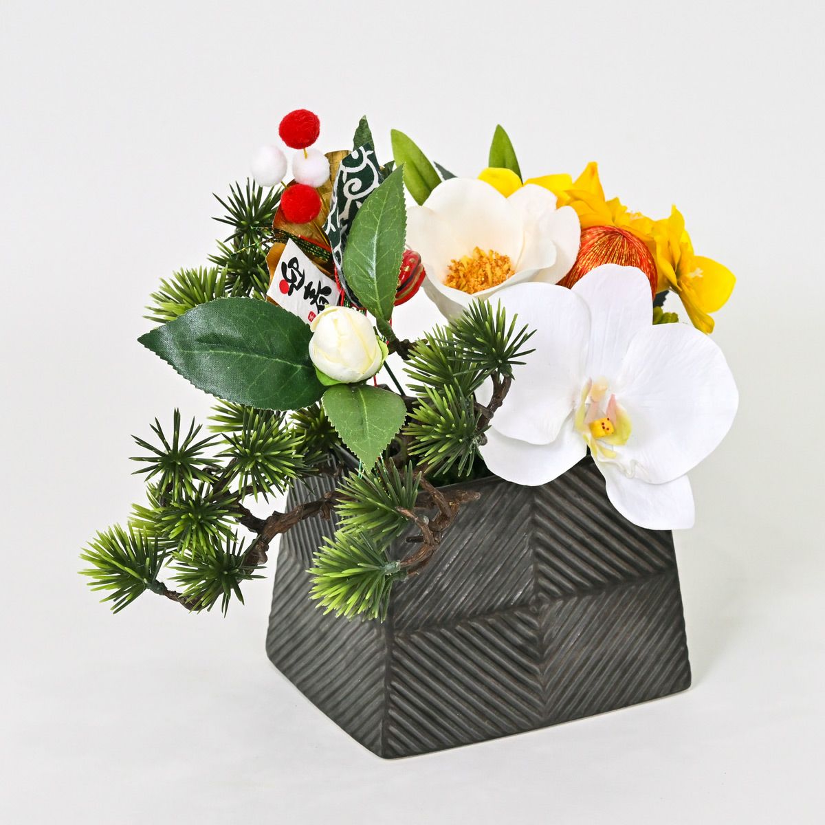 胡蝶蘭 アレンジメント [NY-276]