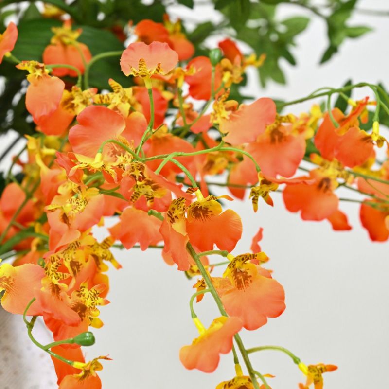 カサブランカリリー アレンジメント [NY-281]