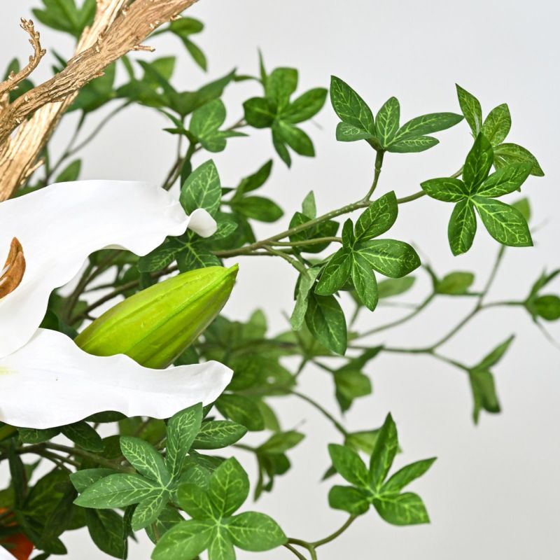 カサブランカリリー アレンジメント [NY-281]