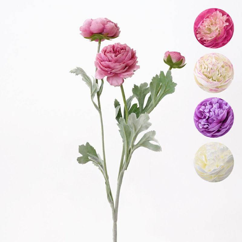 ラナンキュラス 全5色