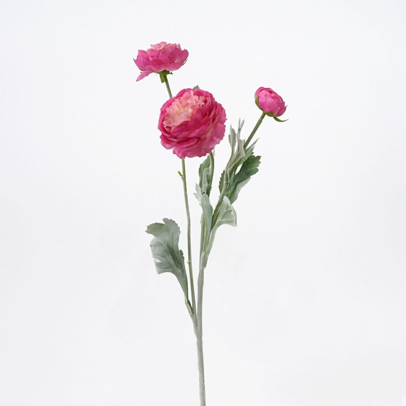 ラナンキュラス 全5色