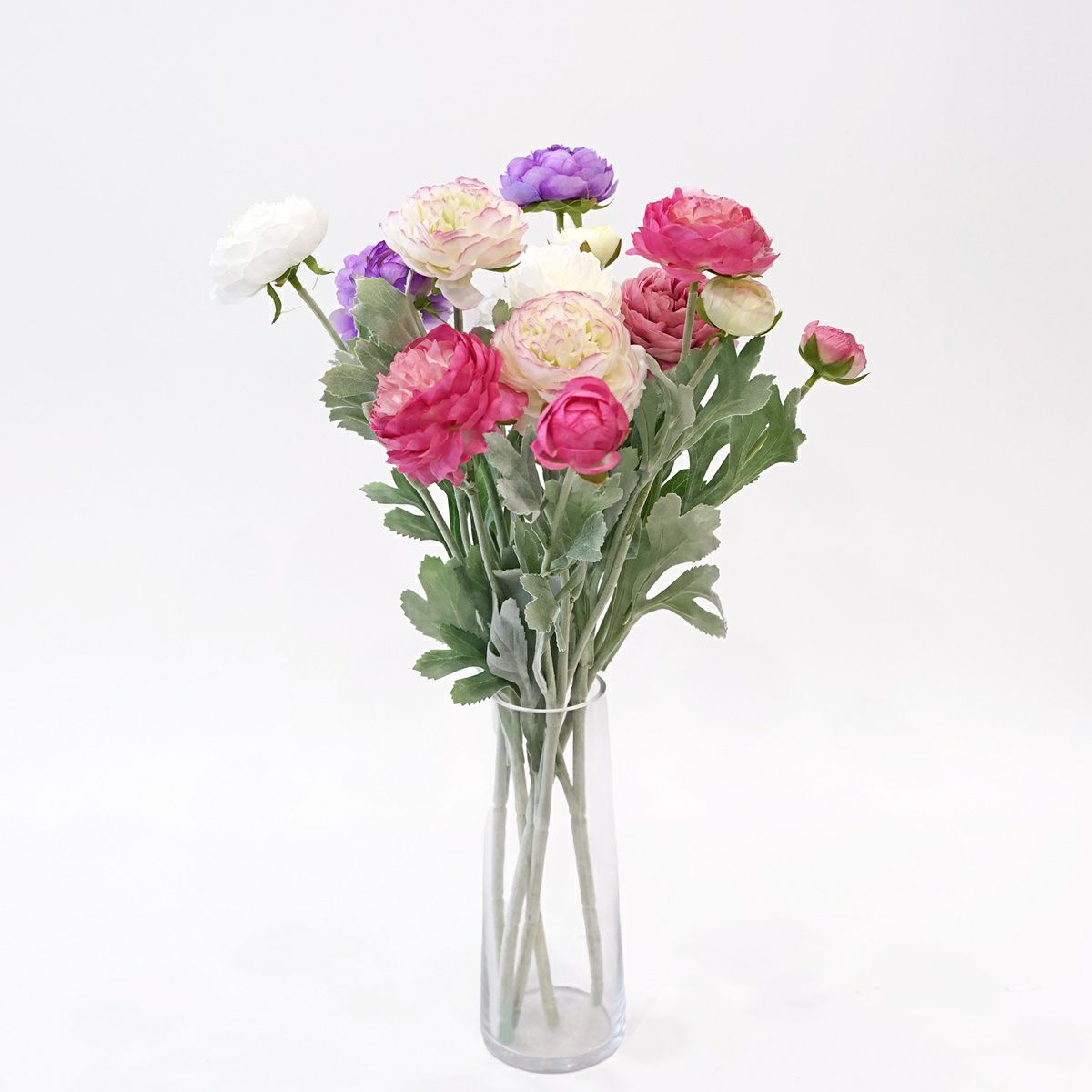 ラナンキュラス 全5色