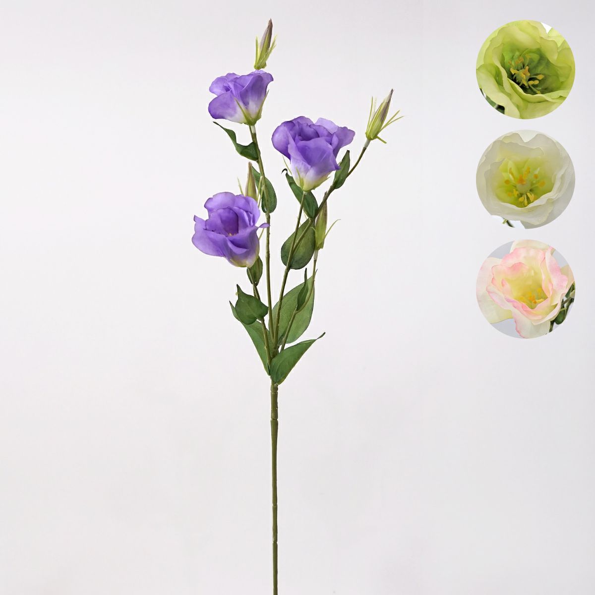 リシアンサス 全4色 H77cm 単品花材