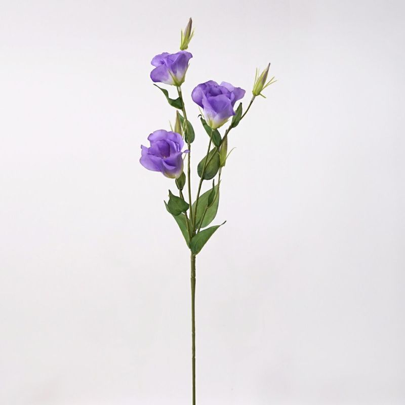 リシアンサス 全4色 H77cm 単品花材