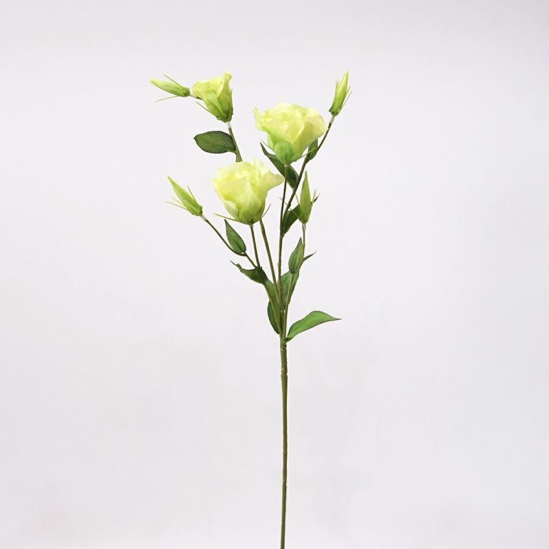 リシアンサス 全4色 H77cm 単品花材