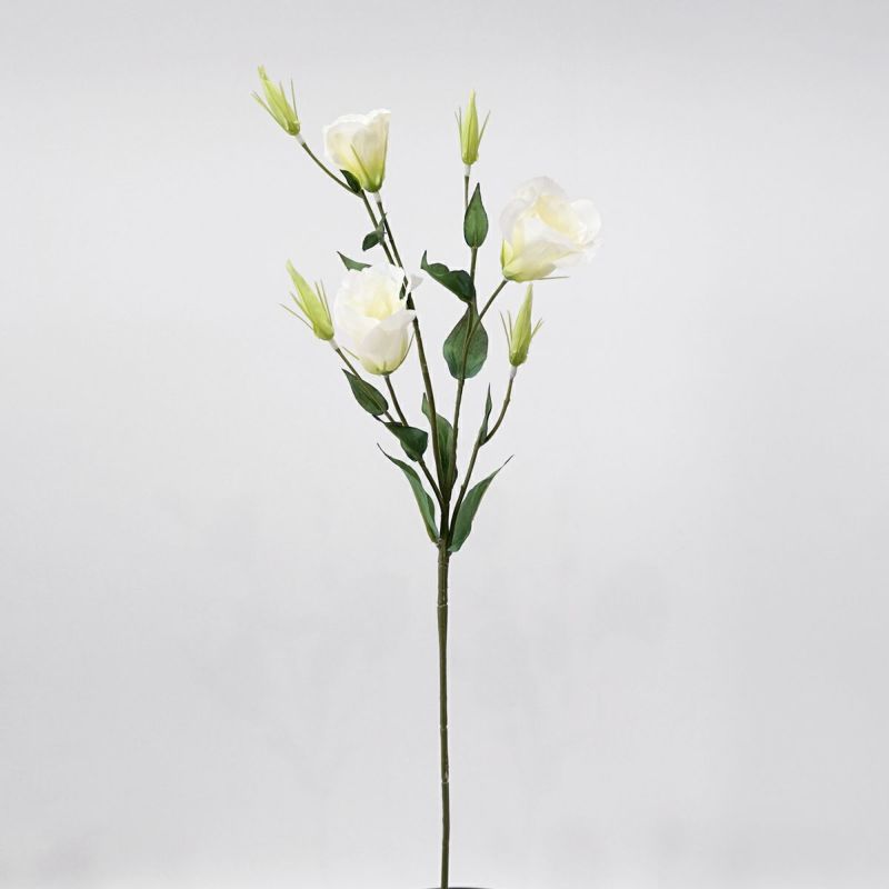 リシアンサス 全4色 H77cm 単品花材