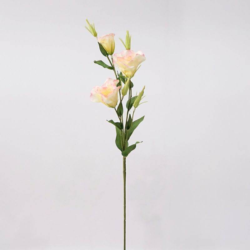 リシアンサス 全4色 H77cm 単品花材