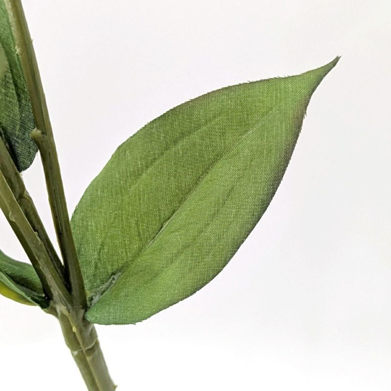 リシアンサス 全4色 H77cm 単品花材