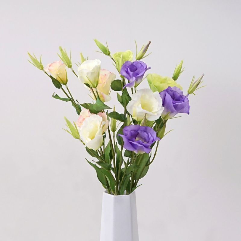 リシアンサス 全4色 H77cm 単品花材