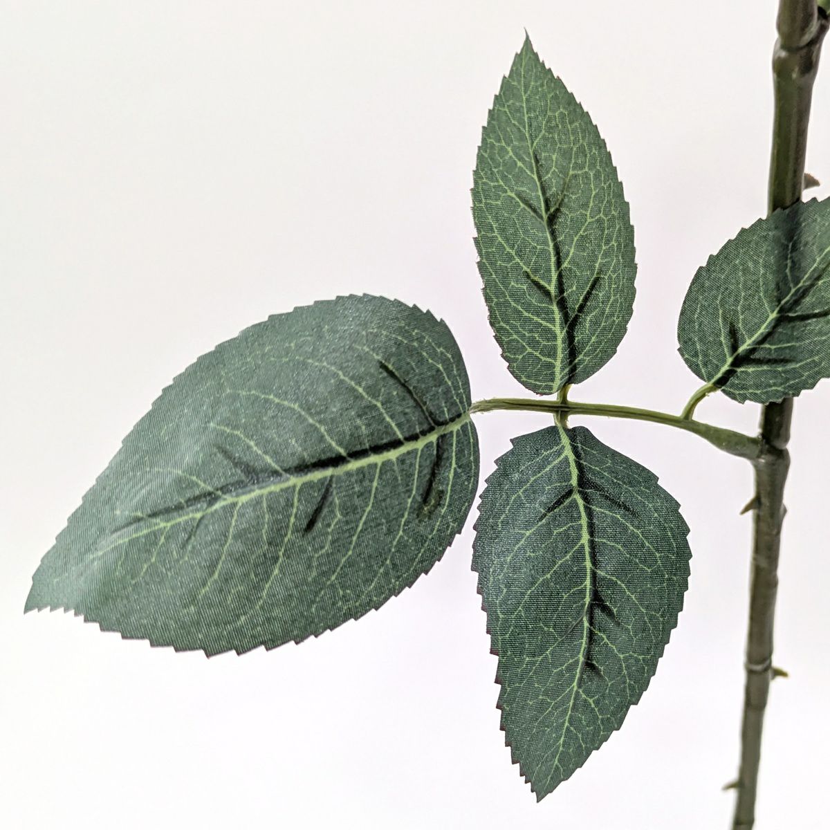 イングリッシュローズ 全1色 H68cm 単品花材