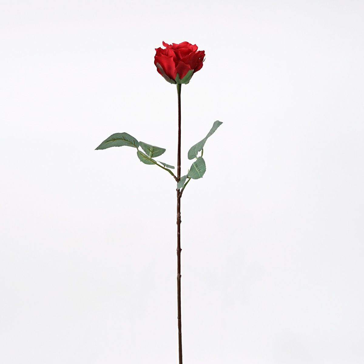 シングルアリスローズ 全1色 H71cm 単品花材