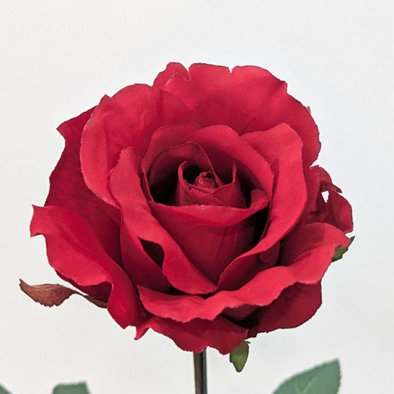 シングルアリスローズ 全1色 H71cm 単品花材