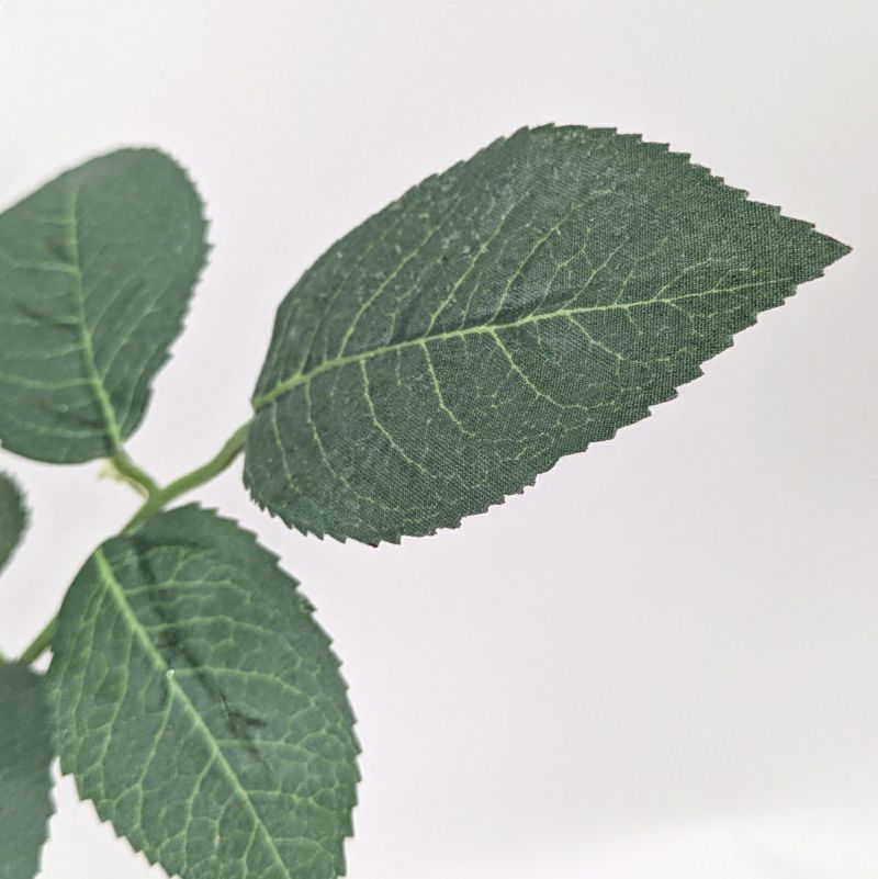 シングルアリスローズ 全1色 H71cm 単品花材