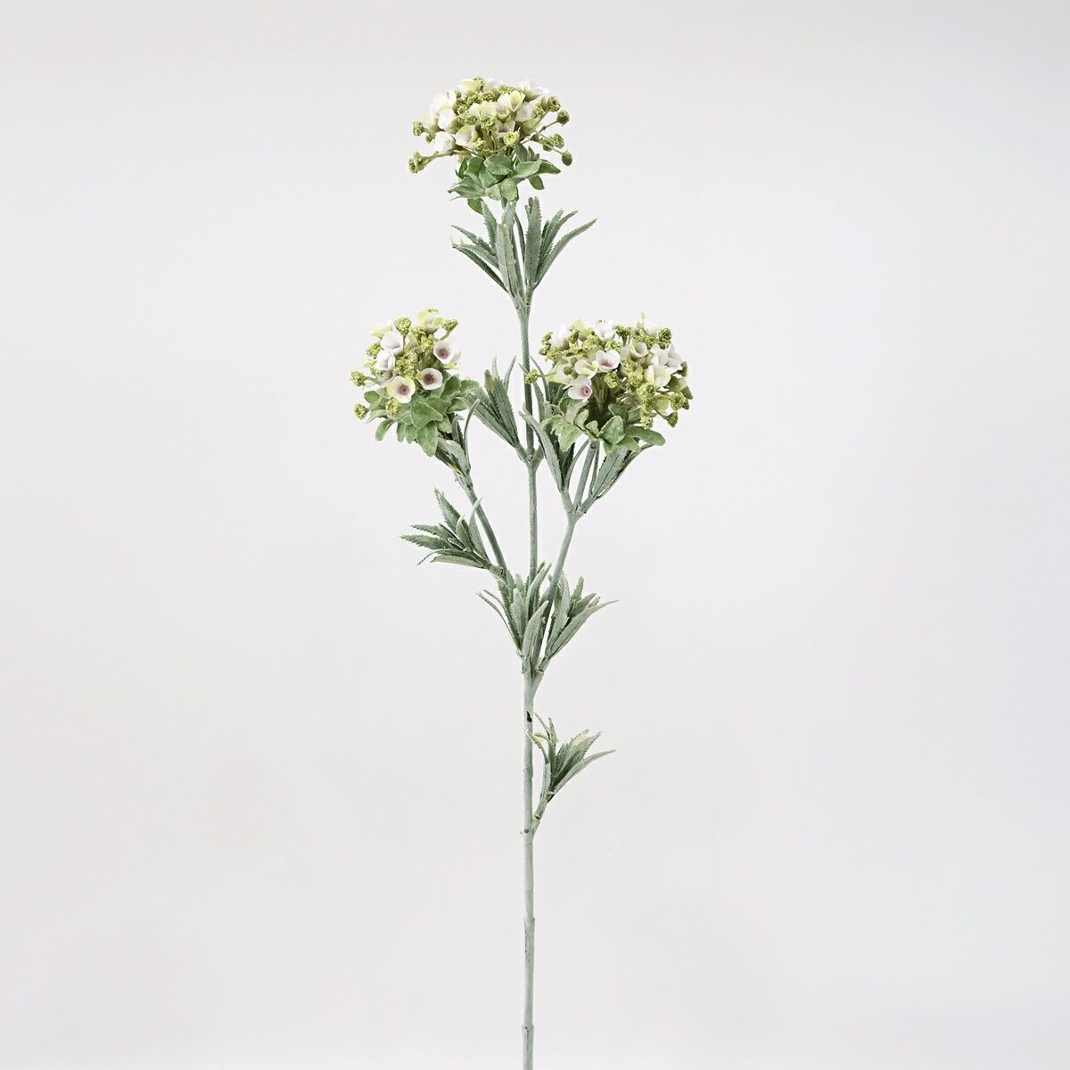 ワックスフラワー 全1色 H78cm 単品花材