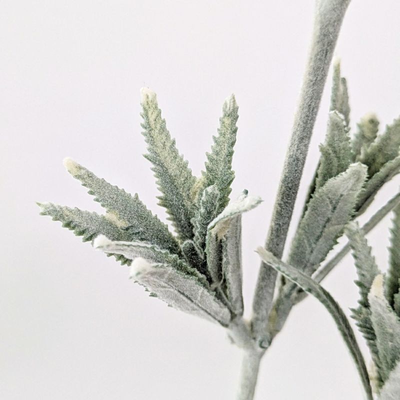 ワックスフラワー 全1色 H78cm 単品花材