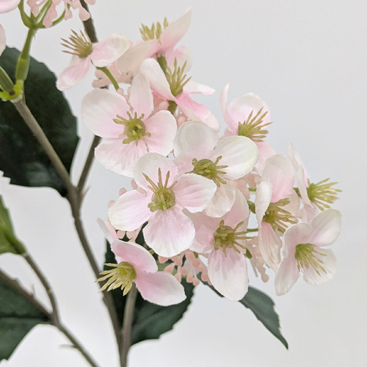 山アジサイ 全2色 H69cm 単品花材