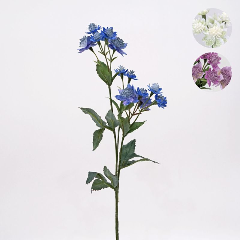 アストランティア 全3色 H50cm 単品花材