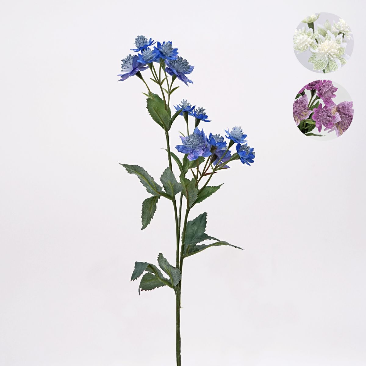 アストランティア 全3色 H50cm 単品花材