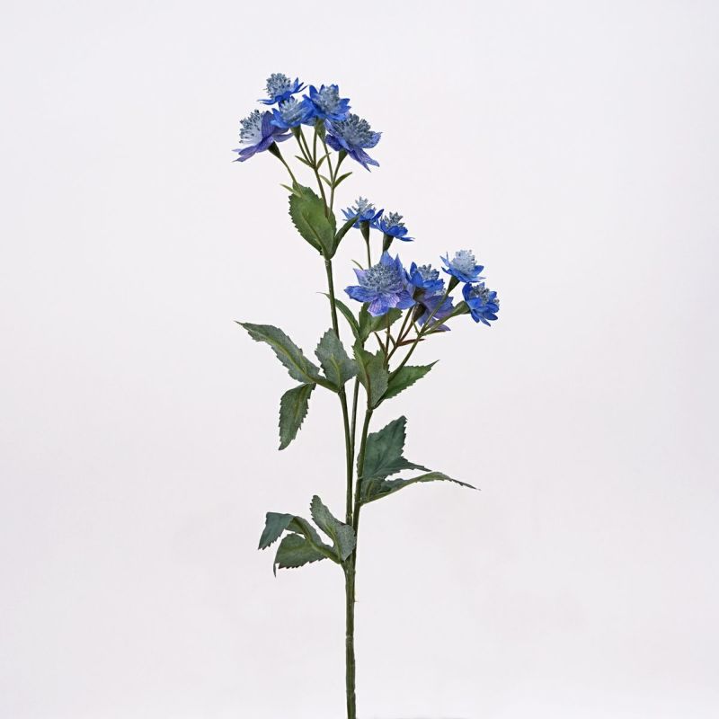 アストランティア 全3色 H50cm 単品花材