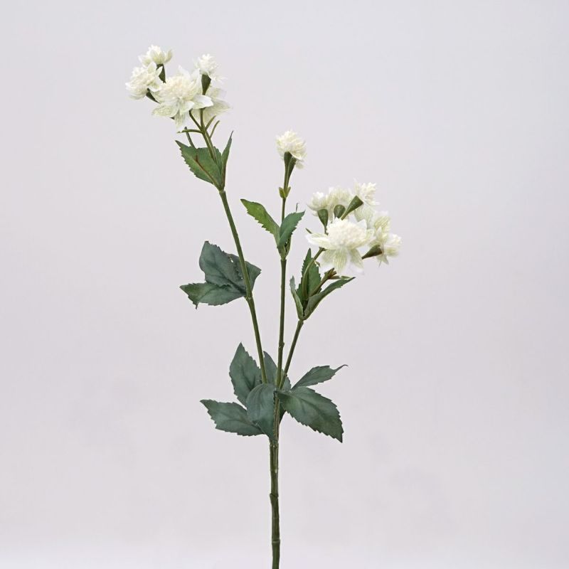 アストランティア 全3色 H50cm 単品花材