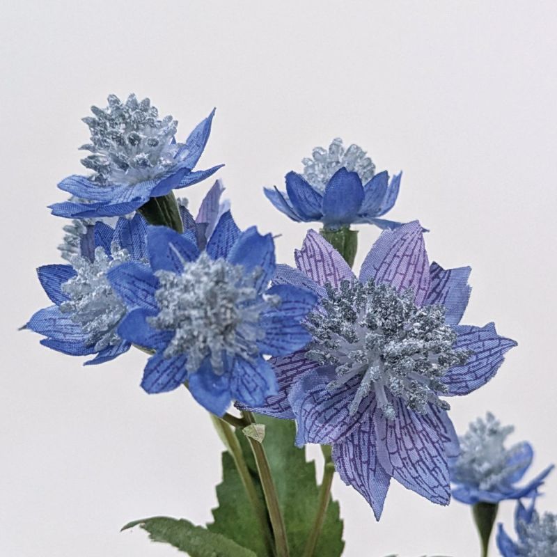 アストランティア 全3色 H50cm 単品花材