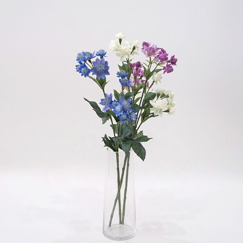 アストランティア 全3色 H50cm 単品花材