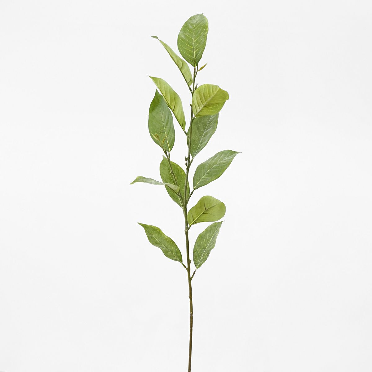 リーフ 全1色 H130cm 単品花材