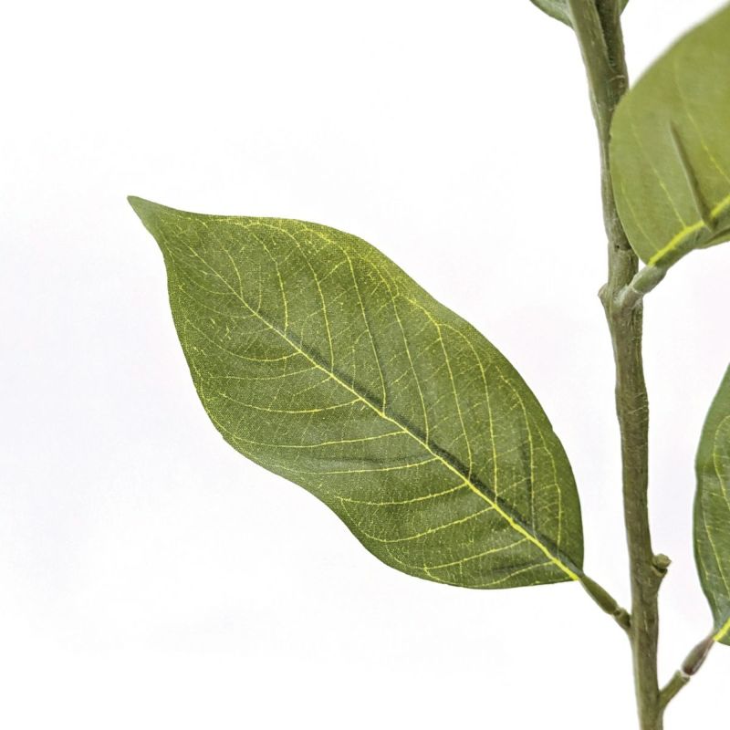 リーフ 全1色 H130cm 単品花材