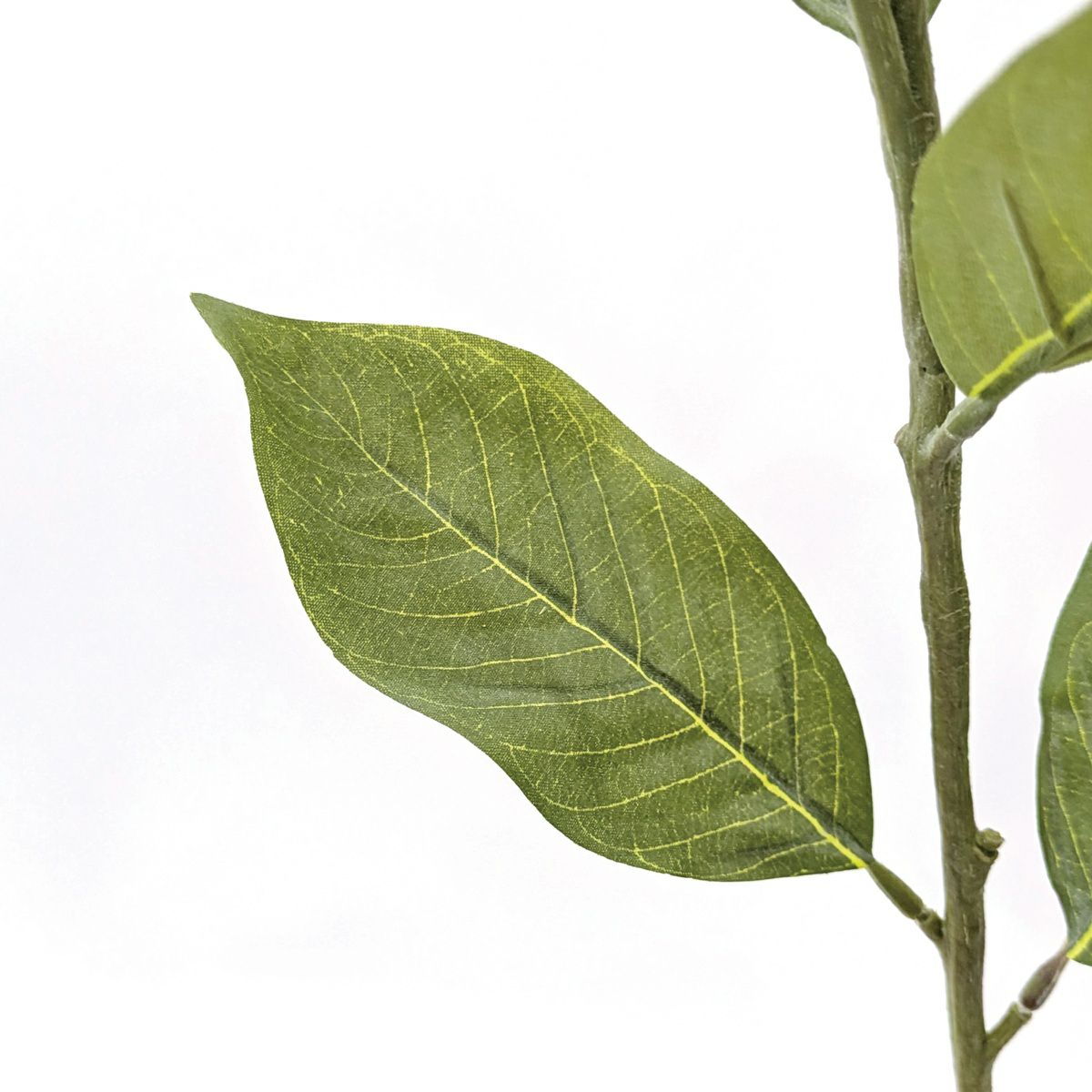 リーフ 全1色 H130cm 単品花材