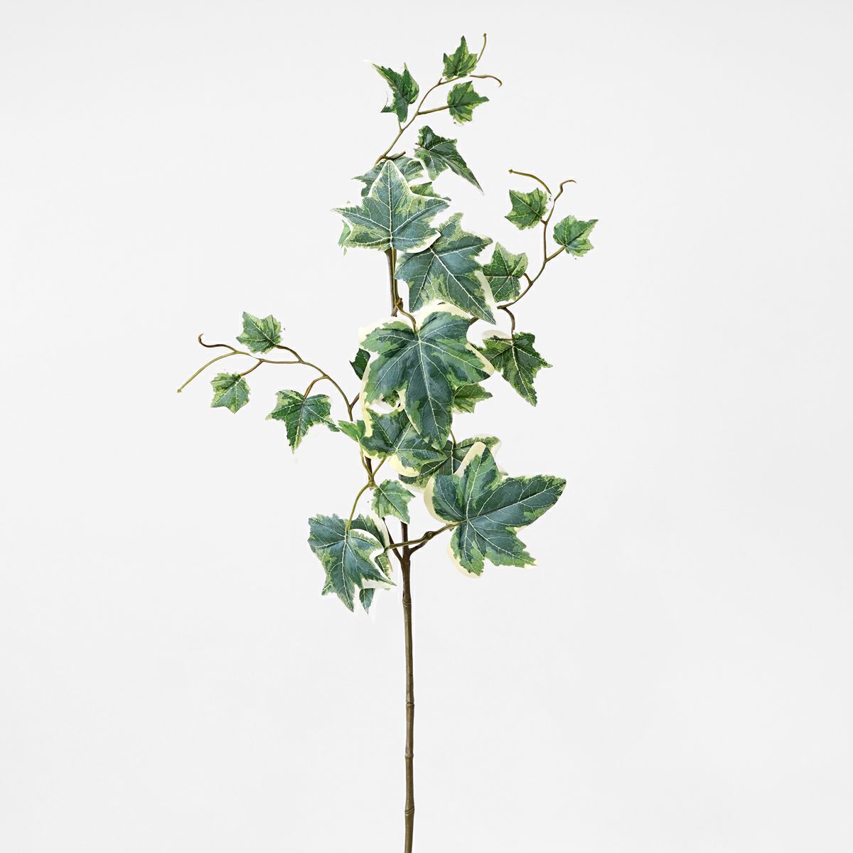 アイビー 全2色 H77cm 単品花材