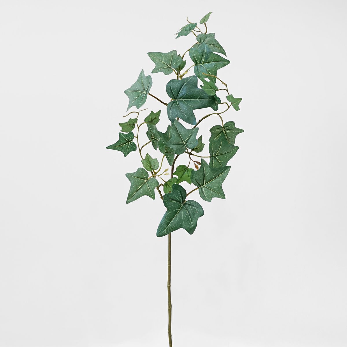 アイビー 全2色 H77cm 単品花材